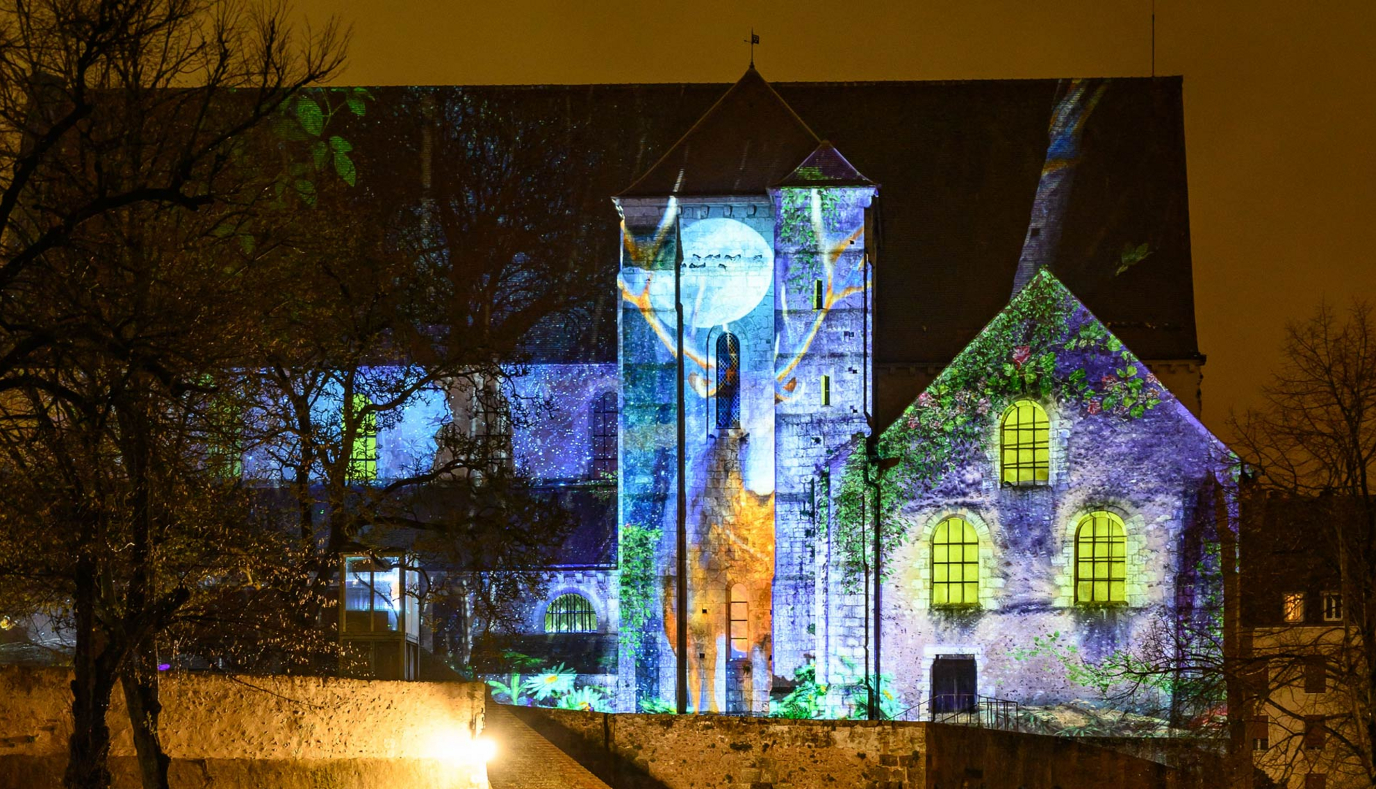 Collégiale Saint-André - Faune et flore - M2.Creative