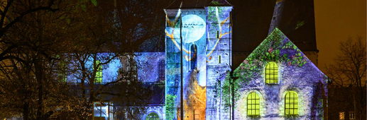 Collégiale Saint-André - Faune et flore - M2.Creative Collégiale Saint-André - Faune et flore - M2.Creative