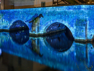 Faunes et flores - pont des minimes - Chartres en lumières