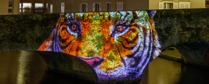 Le pont de singes - Pont Bouju - Chartres en lumières
