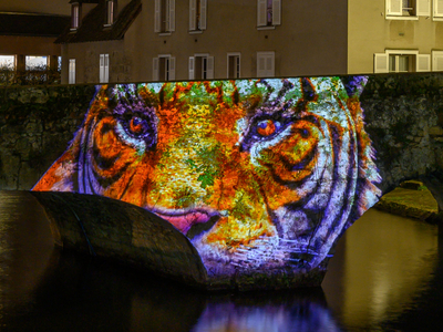 Le pont de singes - Pont Bouju - Chartres en lumières