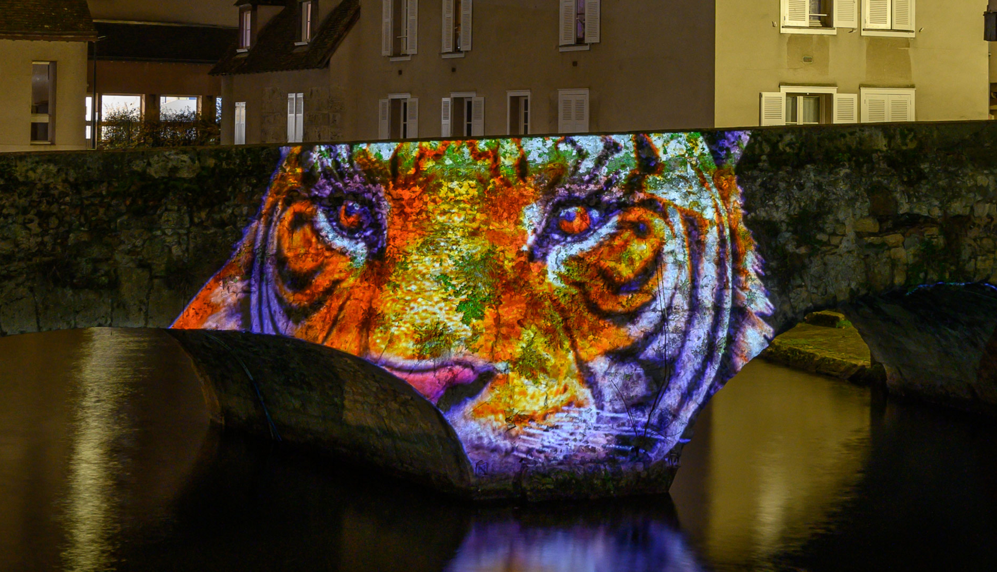 Le pont de singes - Pont Bouju - Chartres en lumières