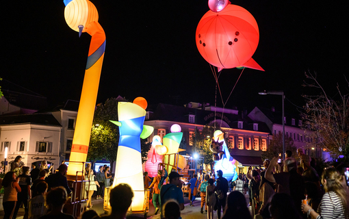 fete-lumiere-2023-picto-facto-chartres-en-lumieres-_11_.jpg