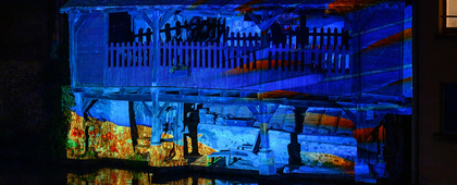 Faunes et flores - lavoir grenouillère - Chartres en lumières