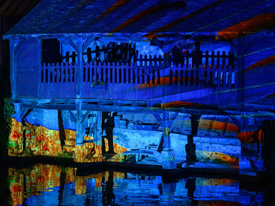 Faunes et flores - lavoir grenouillère - Chartres en lumières