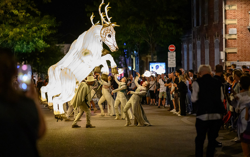 fete-lumiere-2023-remue-menage-chartres-en-lumieres-_10_.jpg