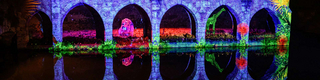 Les Arcades Saint-Hilaire - Faunes et flores - Chartres en lumières