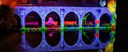 Les Arcades Saint-Hilaire - Faunes et flores - Chartres en lumières