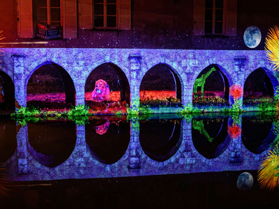 Les Arcades Saint-Hilaire - Faunes et flores - Chartres en lumières