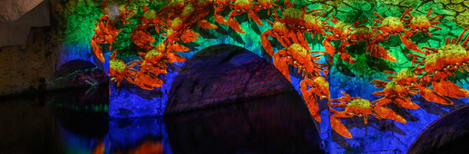 Faunes et flores - pont Saint hilaire - Chartres en lumières Faunes et flores - pont Saint hilaire - Chartres en lumières