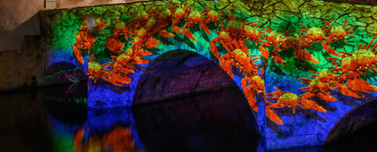 Faunes et flores - pont Saint hilaire - Chartres en lumières