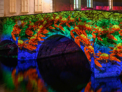 Faunes et flores - pont Saint hilaire - Chartres en lumières