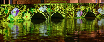 Lagune et amazone (Faune et flore) - Pont Saint-Père