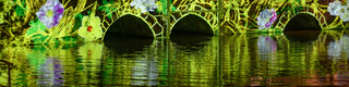 Lagune et amazone (Faune et flore) - Pont Saint-Père
