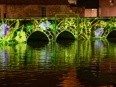 Lagune et amazone (Faune et flore) - Pont Saint-Père